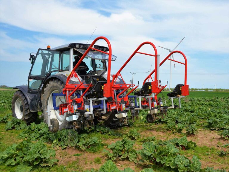 Vista posterior de l'escarda mecànica ZUZA 3 en acció al camp hortícola