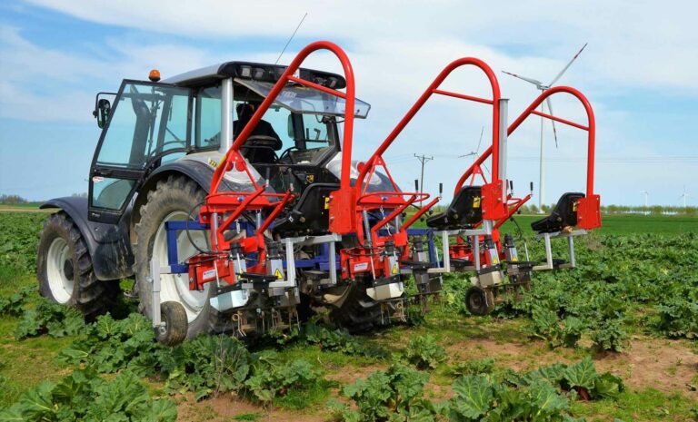 Vista trasera de la escarda mecánica ZUZA 3 en acción en campo hortícola